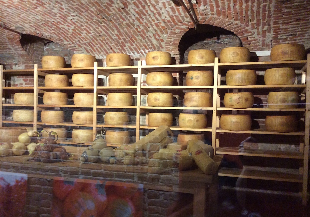 16 ingiro cheese